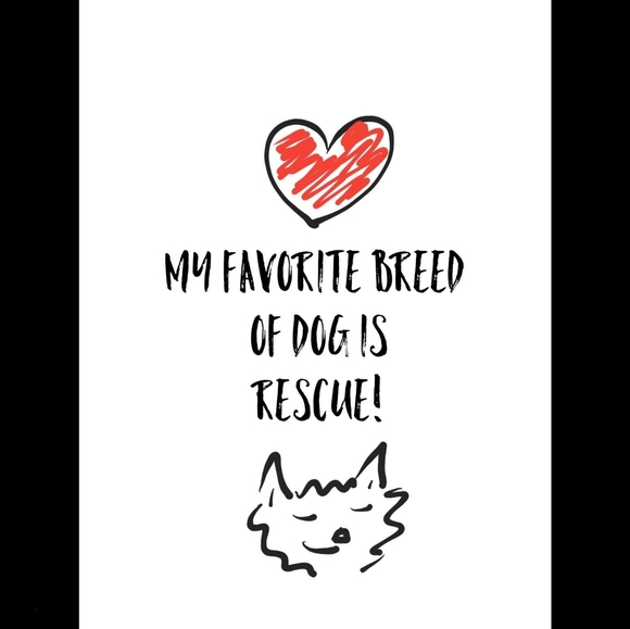 Meet your Posher, Celeste - Picture 4 of 4